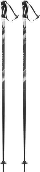 McKINLEY Herren Alpin-Skistock Vector 20