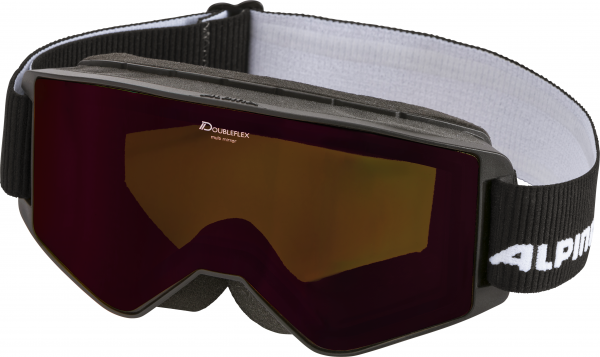 ALPINA Herren Skibrille &quot;Narkoja&quot;