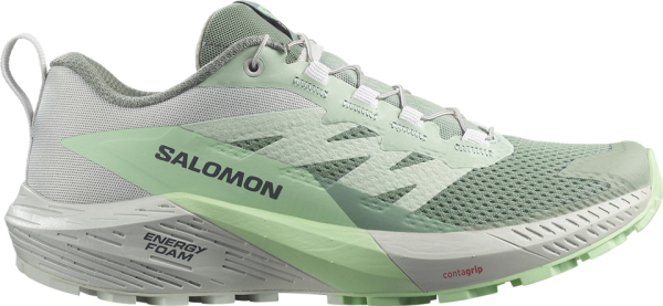 SALOMON Damen Trailrunningschuhe SHOES SENSE RIDE 5 W Lily/Metal/Greash