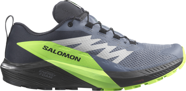 SALOMON Herren Trailrunningschuhe SHOES SENSE RIDE 5 GTX Flint/Black/Grgec