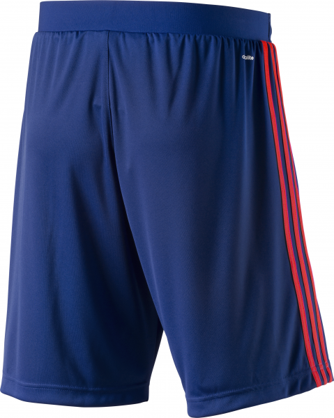 ADIDAS Herren Teamhose UFB SHO