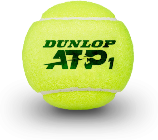 DUNLOP Tennisball &quot;FORT CLAY COURT&quot; 4er